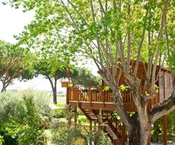 Agriturismo La Nuova Fattoria, Nettuno orari di apertura