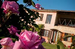 Cascina rosa b&b, Grazzano Badoglio orari di apertura