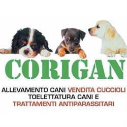 Allevamento e Toelettatura Corigan, Carpenedolo orari di apertura