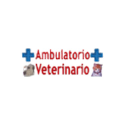 Ambulatorio Veterinario Cim, Roma orari di apertura