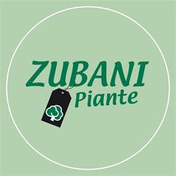 Zubani Piante, Brescia orari di apertura