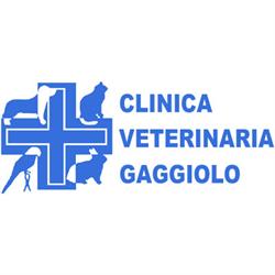 Clinica Veterinaria Ca' Zampa Gaggiolo - Direttore Sanitario Dr. Flavio Bizzozero, orari di apertura