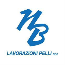 LAVORAZIONI PELLI snc, Vigonovo orari di apertura