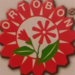 Ortobon di Bon Vania & C. sas, Schiavon orari di apertura