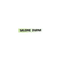 Salone Diana - Parrucchiere donna e uomo a Mestre, orari di apertura