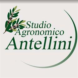 Studio Agronomico Antellini, Torri in Sabina orari di apertura