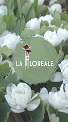La Floreale, Roma orari di apertura