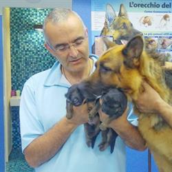 Ambulatorio Veterinario "Tasca Lanza" Dott. Fabrizio Di Pietra, Palermo orari di apertura