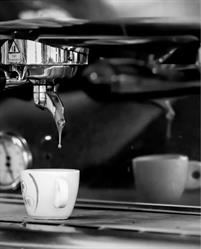 Amazon Counter - CAFFE' LAVIOLA, Pisticci orari di apertura