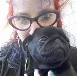 Fido Lindo toelettatura di Simona Savadori, Cesena orari di apertura