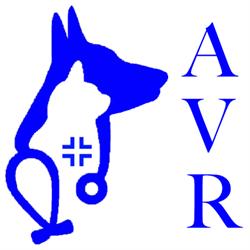 Ambulatorio Veterinario Rosati, Reggio Emilia orari di apertura