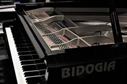 Casa Musicale Bidogia Antonio, San Donà di Piave orari di apertura