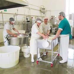 Caseificio Nonno Benito, Sinalunga orari di apertura