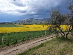 Agriturismo Fontelunga, Cortona orari di apertura