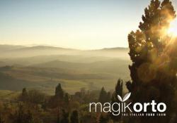 Magikorto S.r.l.s. Prodotti Tipici e Biologici, Spoltore orari di apertura