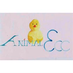 Ambulatorio Veterinario AnimalEco, Venturina orari di apertura