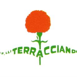 Fratelli terracciano srl, Torre del Greco orari di apertura