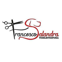 Toelettatura Salandra Francesco, Bari orari di apertura