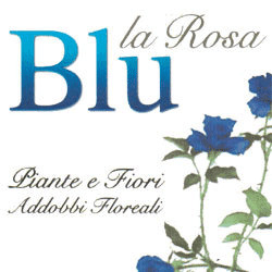 La Rosa Blu, Controguerra orari di apertura