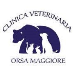 Clinica Veterinaria Orsa Maggiore, Bornago orari di apertura