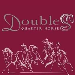 Centro Ippico Double S Quarter Horse, San Gillio orari di apertura