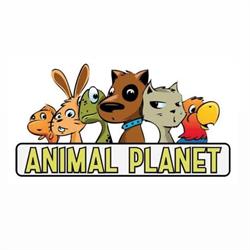 Animal Planet Bacoli - Pet Shop & Toelettatura, orari di apertura