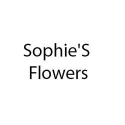 Sophie'S Flowers, Roma orari di apertura