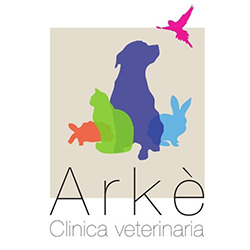 Clinica Veterinaria Arke', Palermo orari di apertura