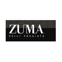 Conceria Zuma Pelli Pregiate, Castelfranco di Sotto orari di apertura