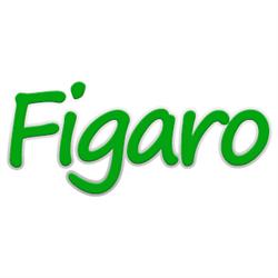 Toelettatura Animali Figaro, Avellino orari di apertura