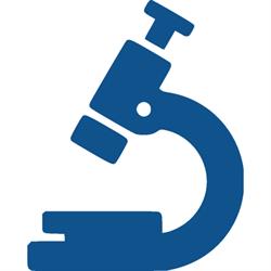 Centro D.I.C. Laboratorio Istocitopatologia, Roma orari di apertura