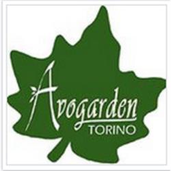 CbWeed Torino, orari di apertura