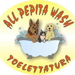 Toelettatura All Pepita Wash, Valdagno orari di apertura