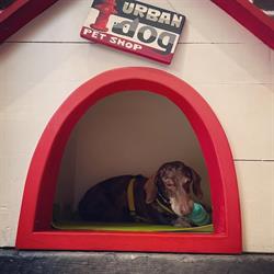 Urban Dog Petshop, Bologna orari di apertura
