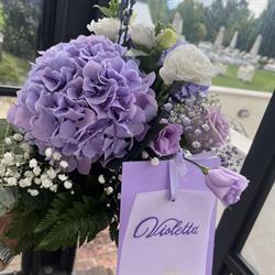 Fioreria La Farfalla di da Lio Davide, Robegano orari di apertura