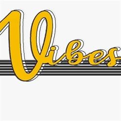 Vibes Musica Strumenti Musicali, Susa orari di apertura