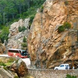 Viaggi Canelli - Noleggio Bus, Castel Maggiore orari di apertura