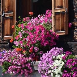 Piccola Baita - Casa Caribe Livigno, orari di apertura