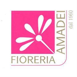 Fioreria Emiliano Amadei, Azzano San Paolo orari di apertura