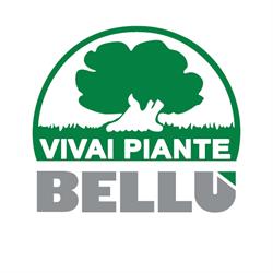 Vivai Piante Bellù, Fratte orari di apertura