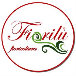 Fiorilu', Guasila orari di apertura