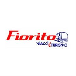 Fiorito Viaggi e Turismo, Paola orari di apertura