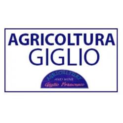 Prodotti per L'Agricoltura Giglio Giovanni, San Felice a Cancello orari di apertura