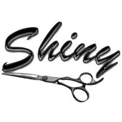 Parrucchiera Shiny, Vidor orari di apertura