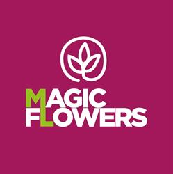 Magic Flowers, Francavilla al Mare orari di apertura