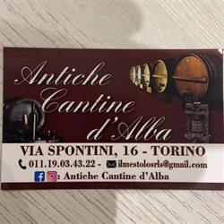 Antiche Cantine d'Alba, Torino orari di apertura