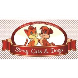 Stray Cats e Dogs, Gravina in Puglia orari di apertura