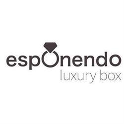 Esponendo S.r.l., Roma orari di apertura