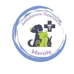Ambulatorio Veterinario Merate - Dott.ssa Elena Veronese, orari di apertura