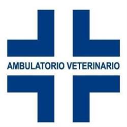 Ambulatorio Veterinario De Angelis Pio, Cerveteri orari di apertura